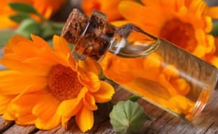 Calendula Infused Oil